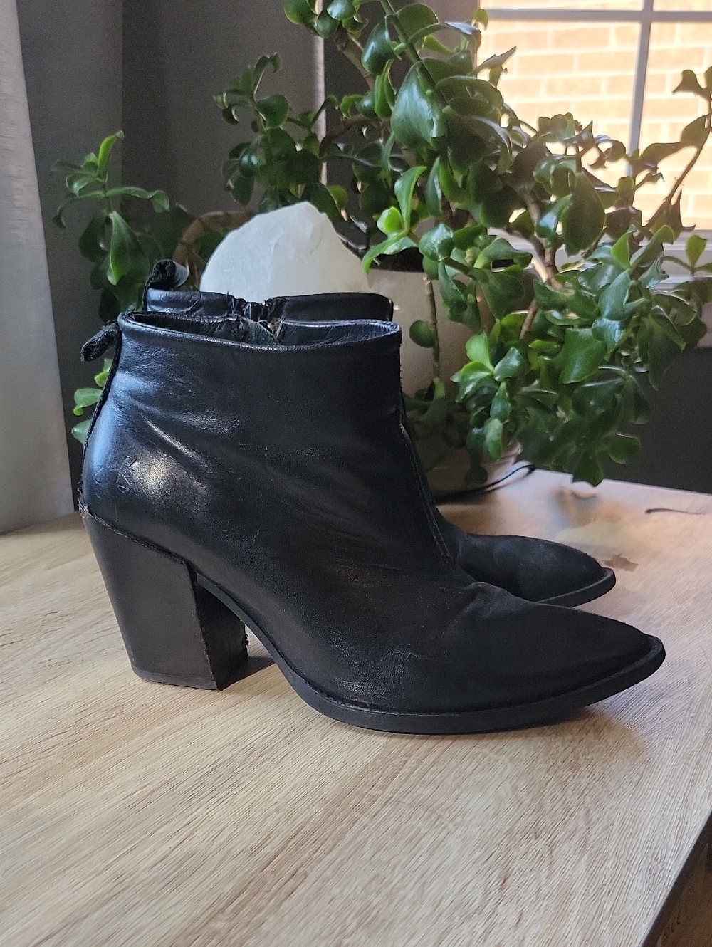 John Fluevog Pointed-Toe Women's Ankle Boots